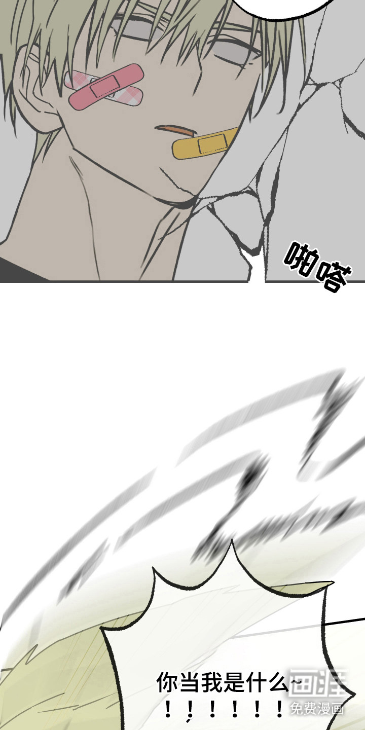 我的狐妖同事 第11话 第1页