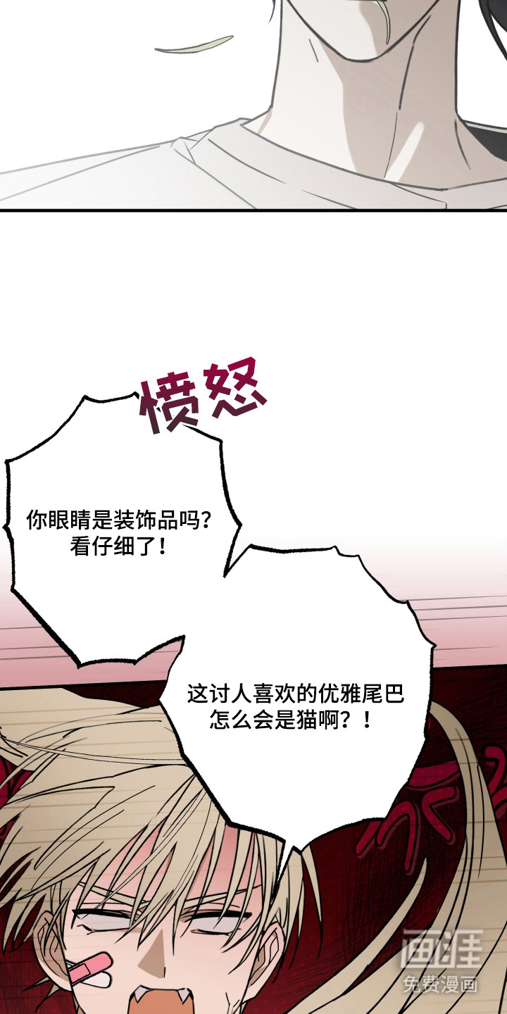 我的狐妖同事 第11话 第4页