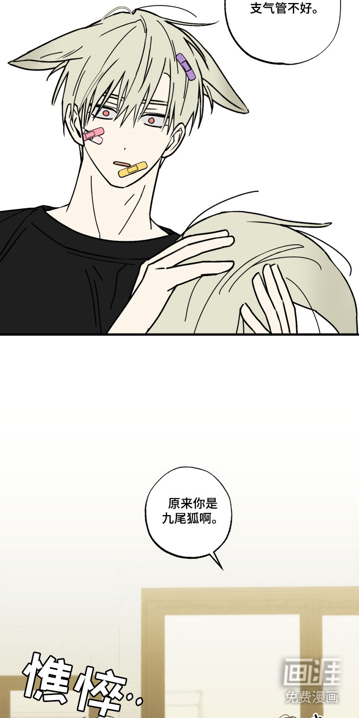 我的狐妖同事 第11话 第7页