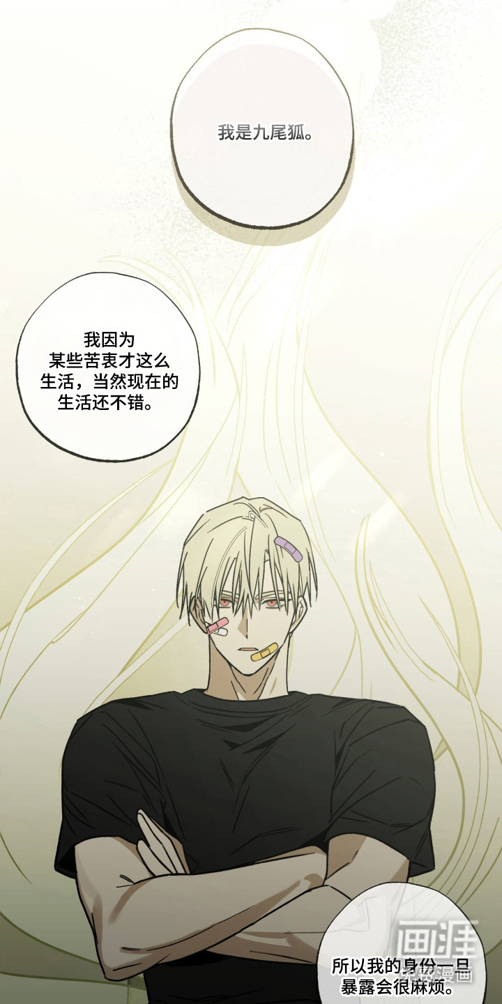 我的狐妖同事 第11话 第18页