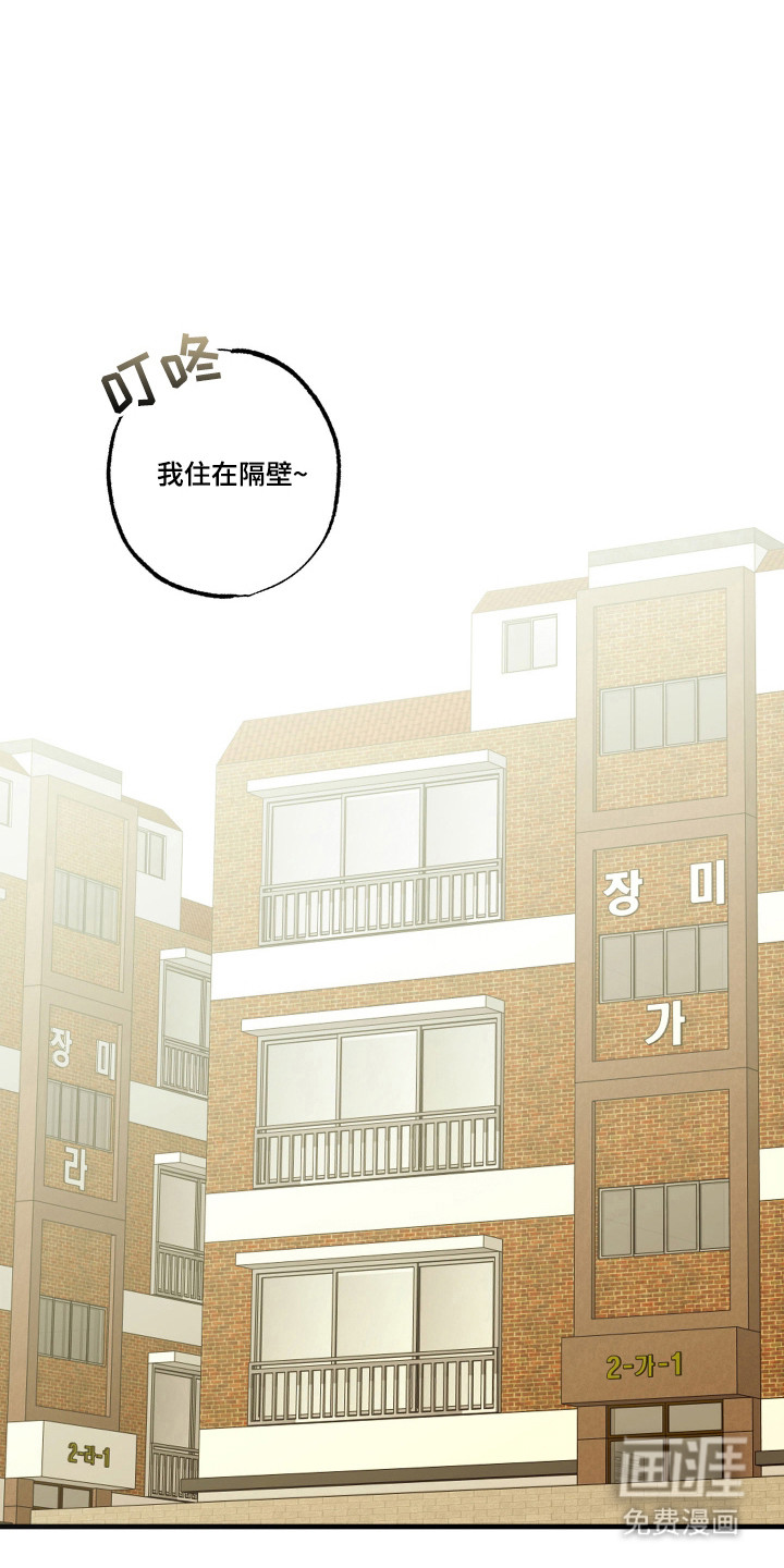 我的狐妖同事 第13话 第14页