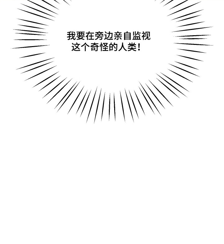 我的狐妖同事 第13话 第19页