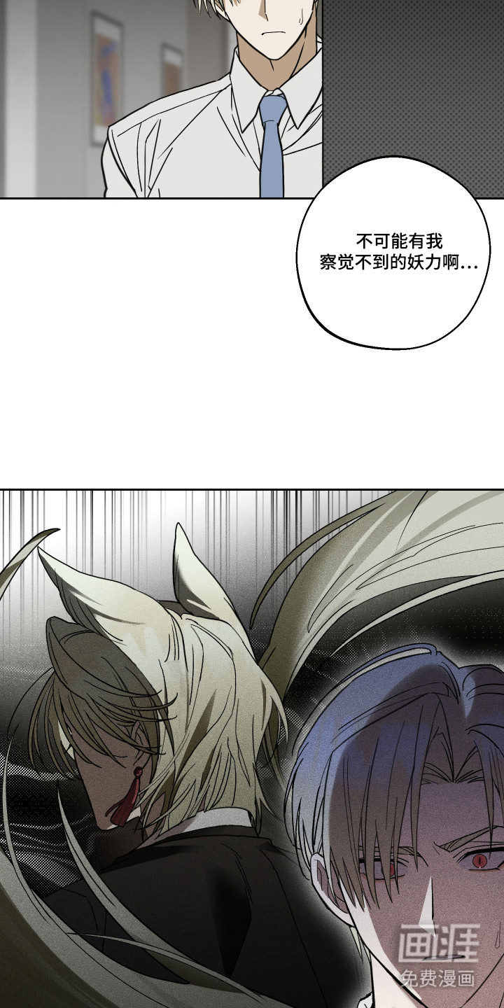 我的狐妖同事 第5话 第12页