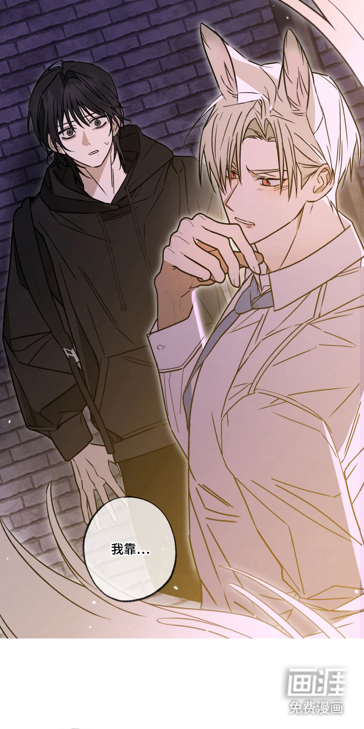 我的狐妖同事 第8话 第11页