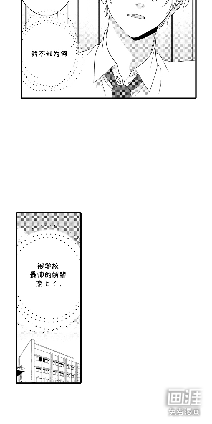我的本命是学长漫画-图10