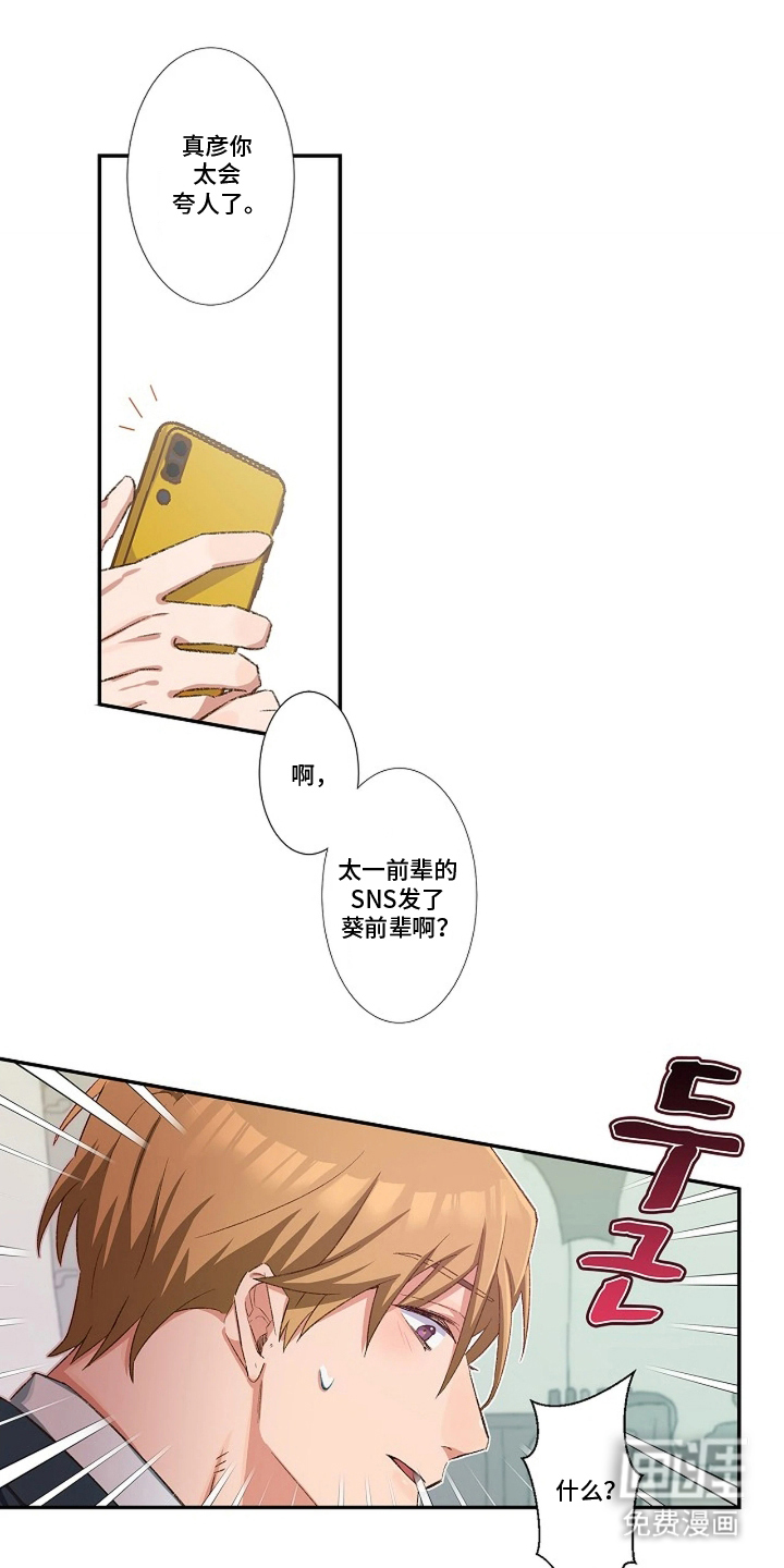 伪装纯真的叹息第17话图