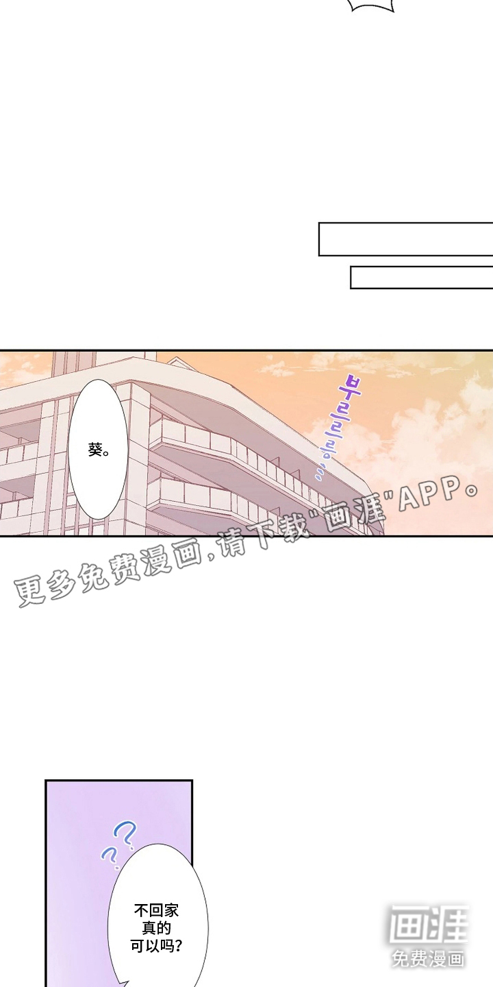 伪装纯真的叹息第17话图