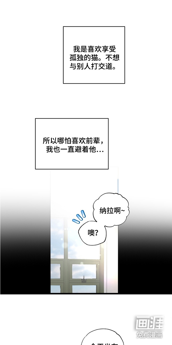 我的老鼠学长第11话图