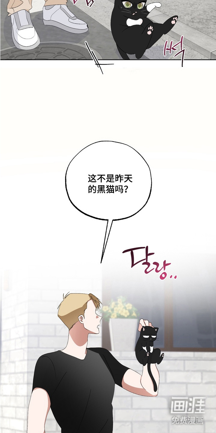 我的老鼠学长第14话图