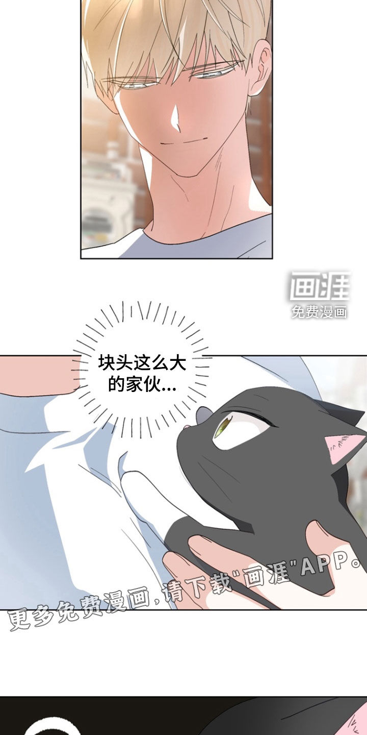 我的老鼠学长 第15话 第2页