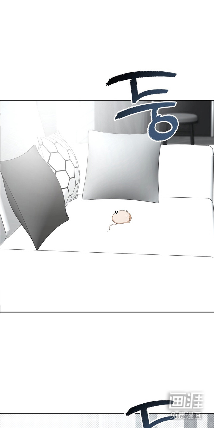 我的老鼠学长第6话图