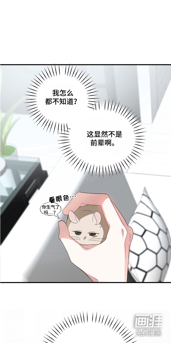 我的老鼠学长第7话图