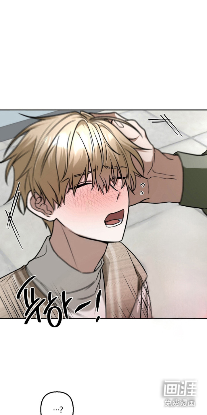 伪装贝塔第5话图