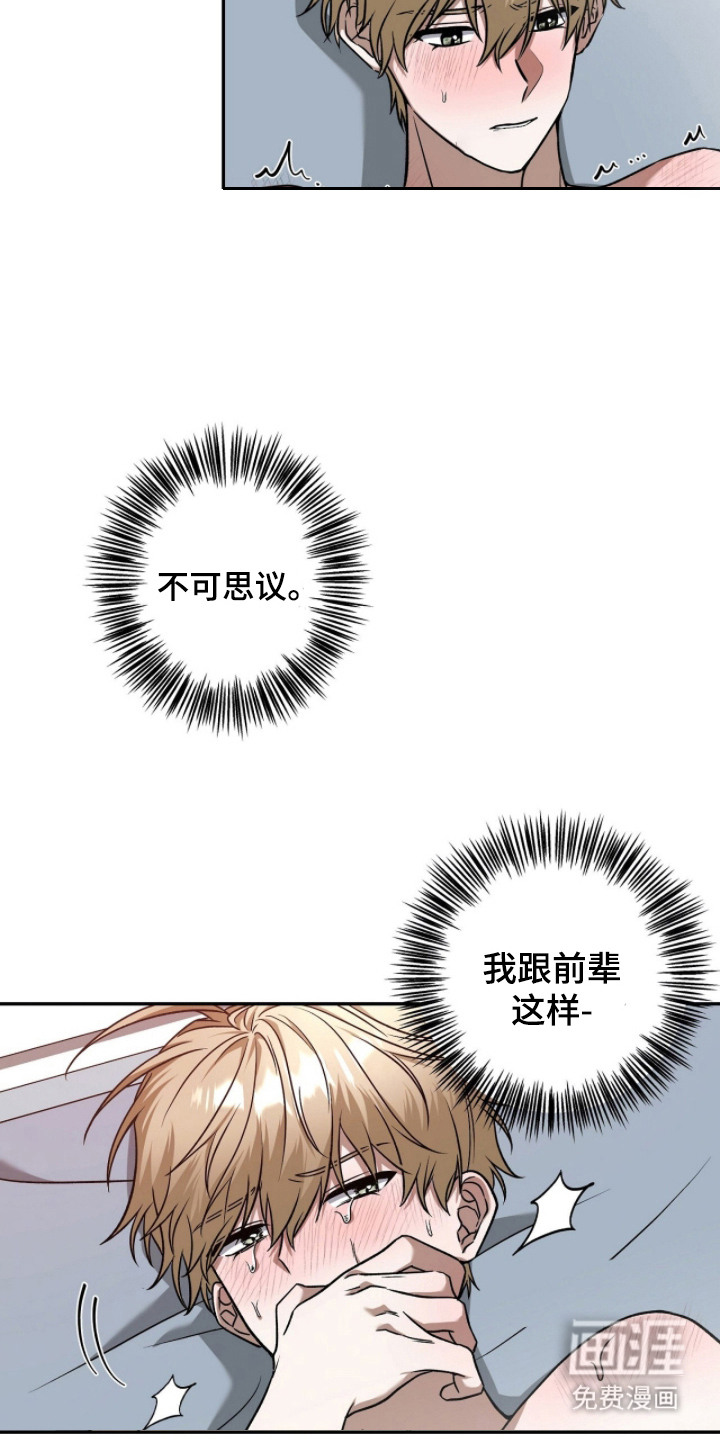 伪装贝塔第6话图