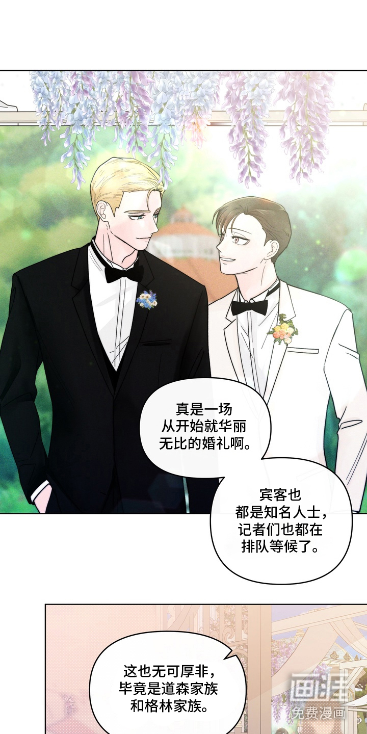 无序香气漫画-图0