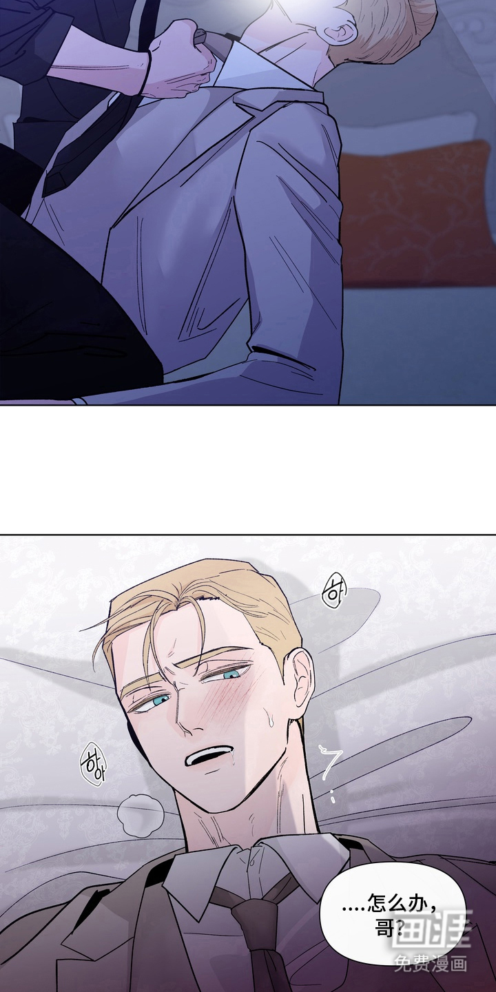无序香气漫画-图4