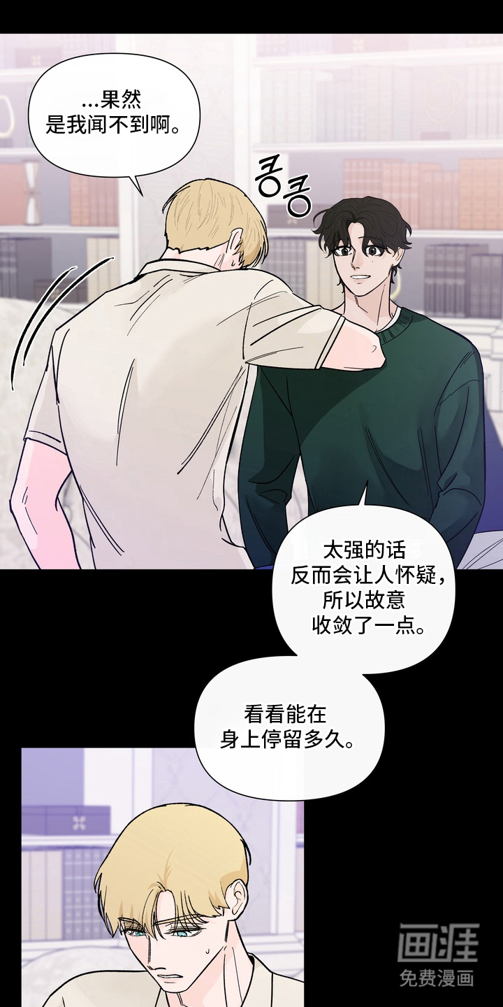 无序香气漫画-图0
