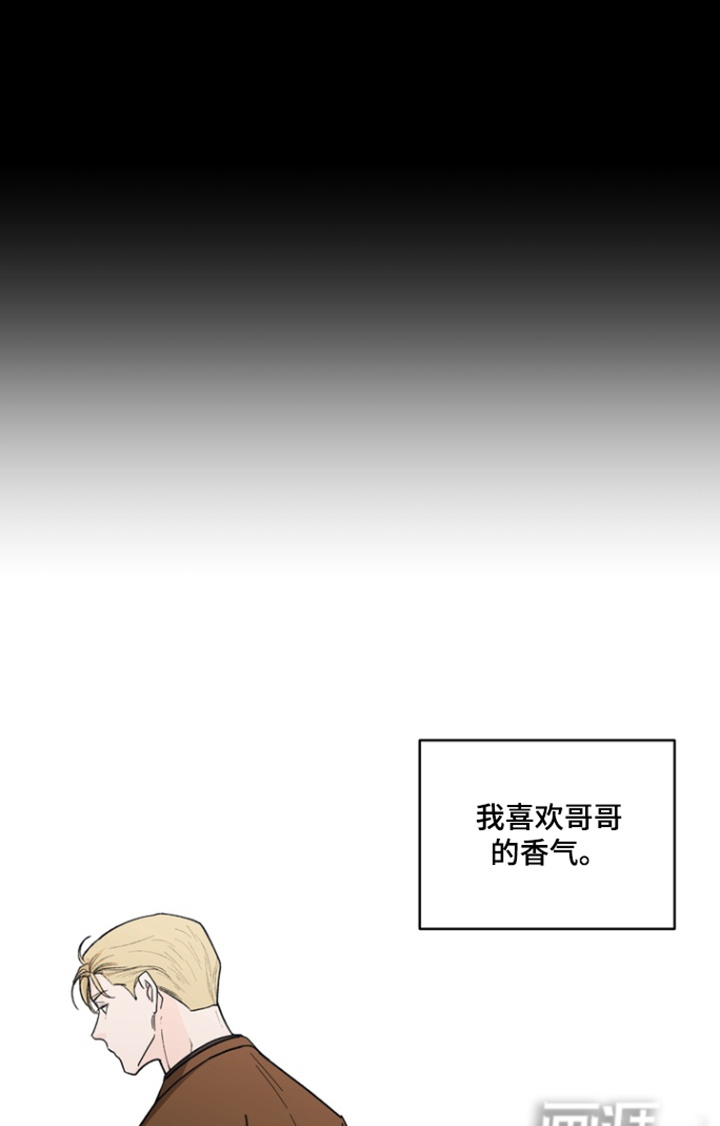 无序香气漫画-图11