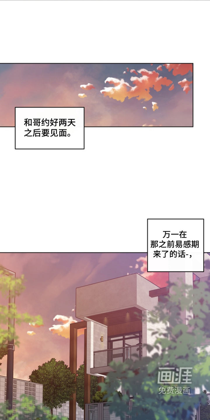 无序香气漫画-图5