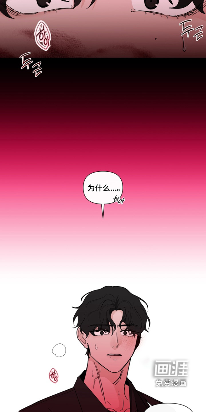 无序香气漫画-图16