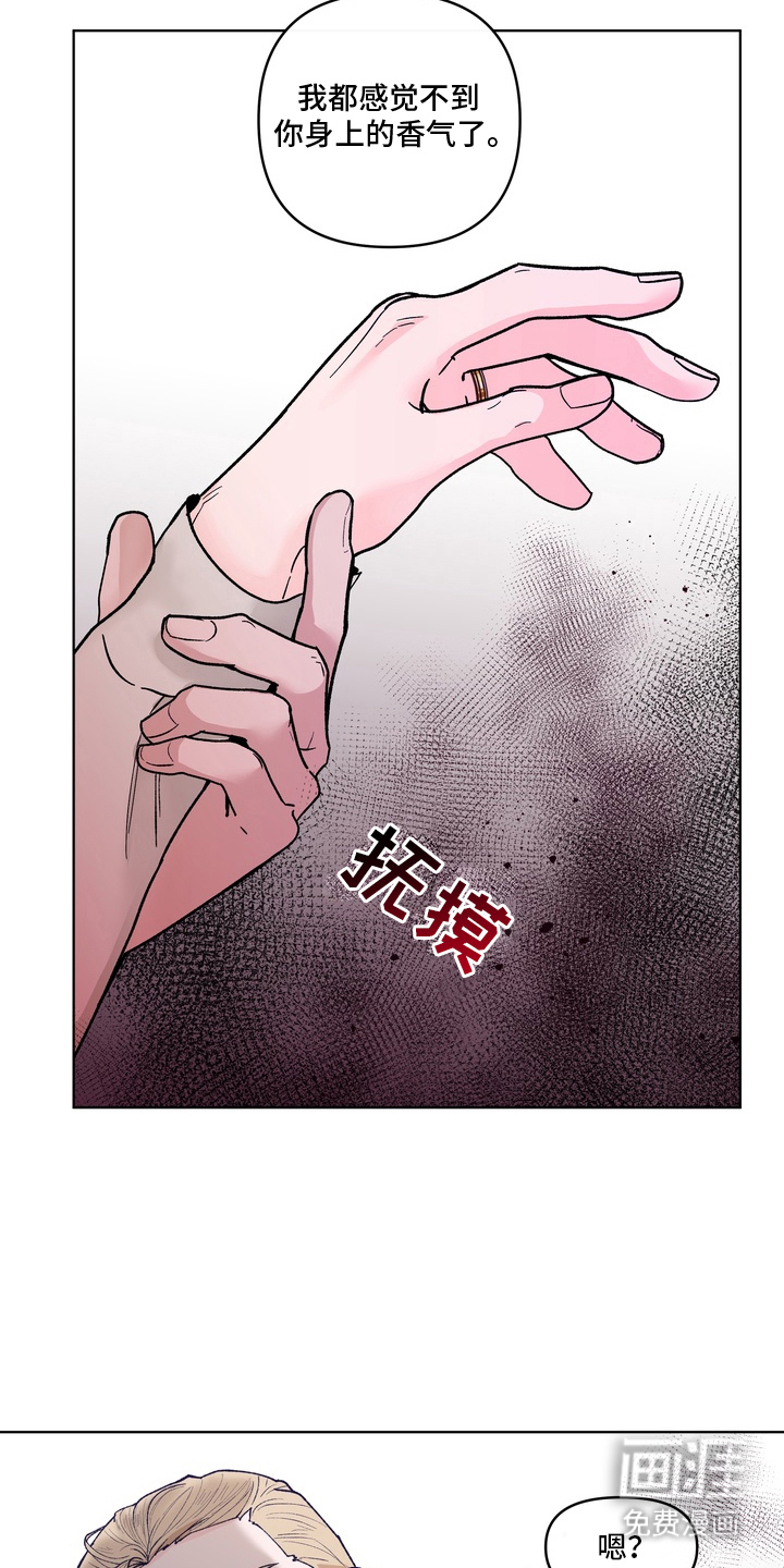 无序香气漫画-图14