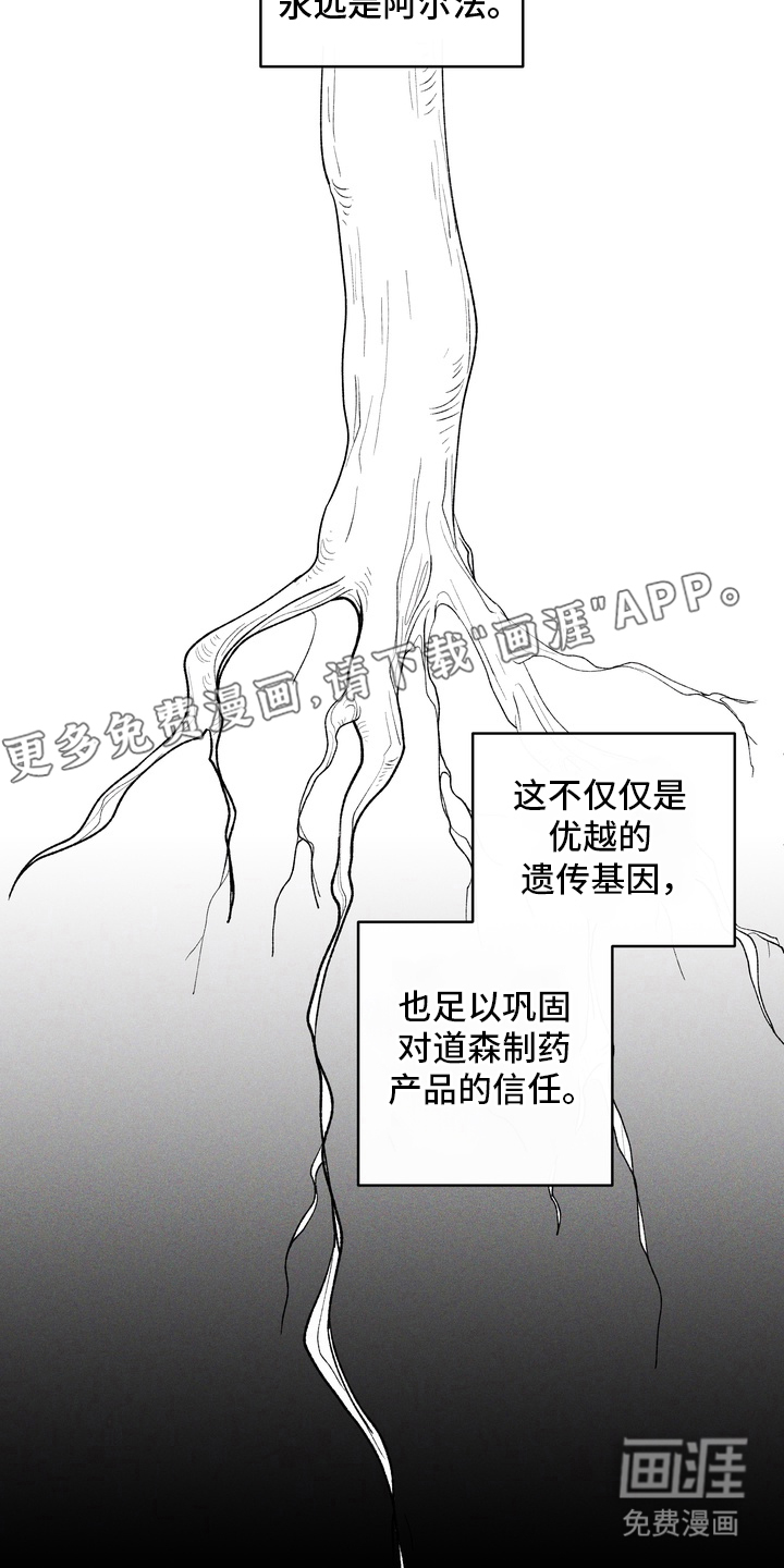 无序香气漫画-图1