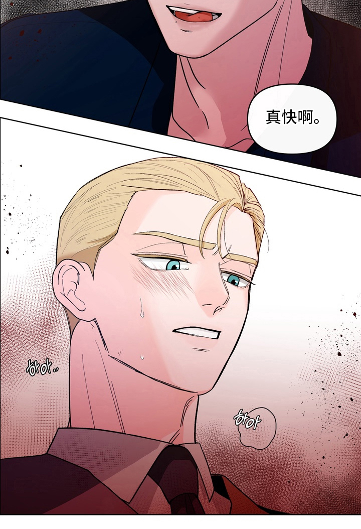 无序香气漫画-图19