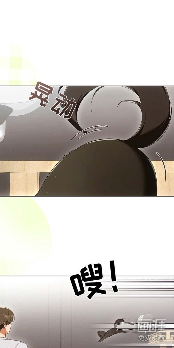 我的黑猫少年第21话图