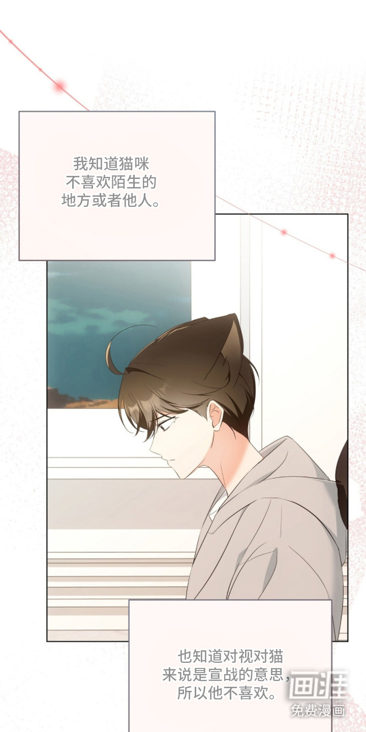 我的黑猫少年第24话图