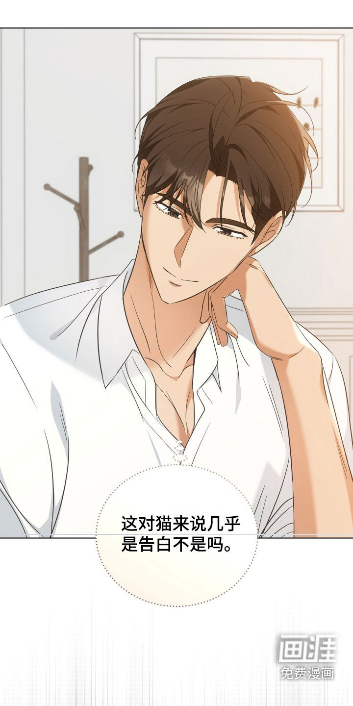 我的黑猫少年第25话图