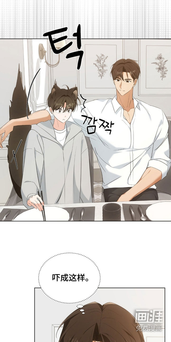 我的黑猫少年第25话图