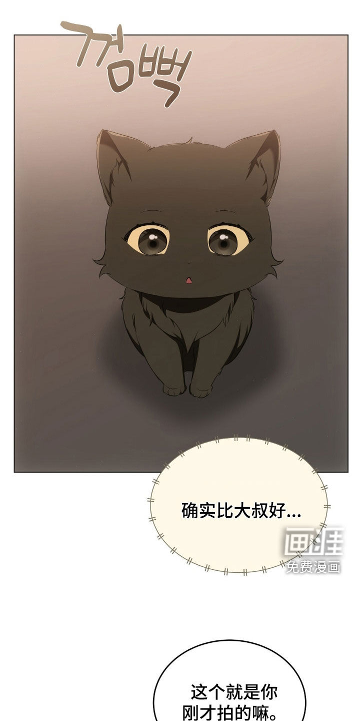 我的黑猫少年第26话图