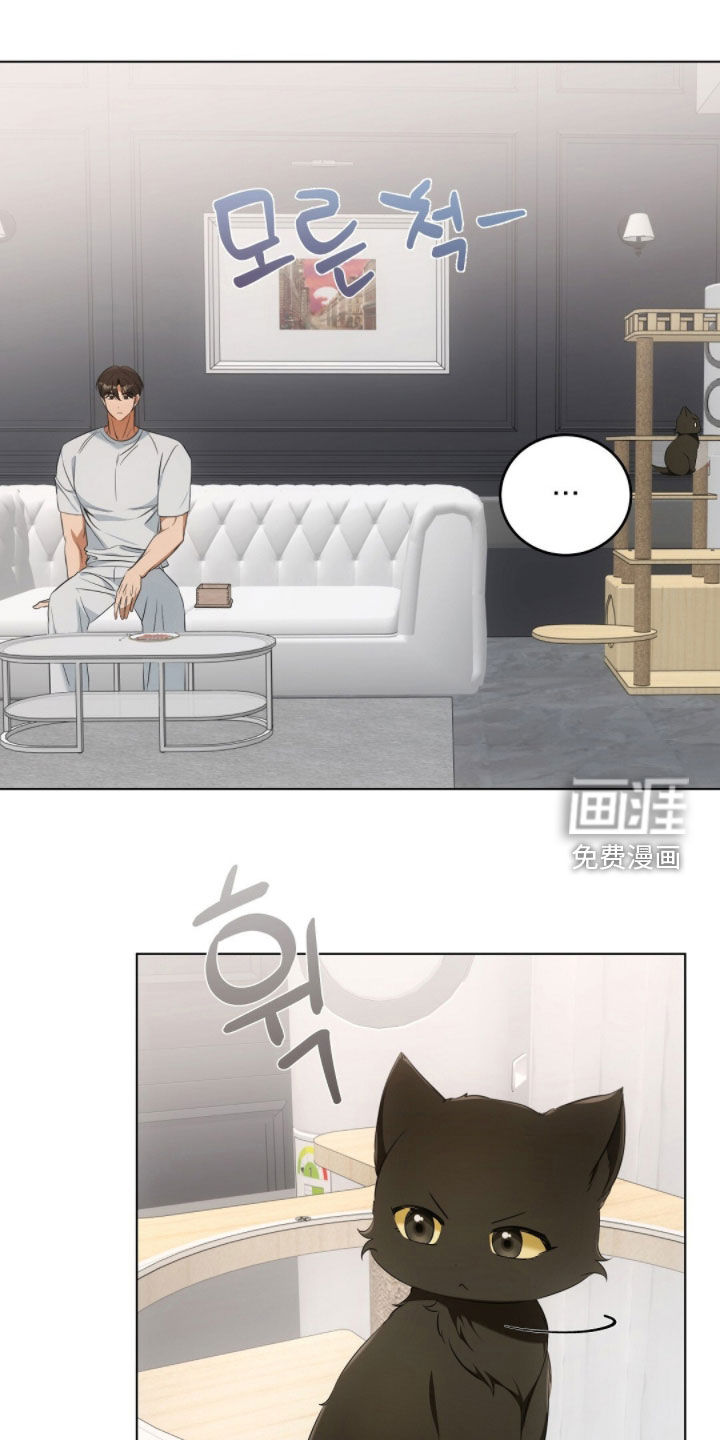 我的黑猫少年第27话图