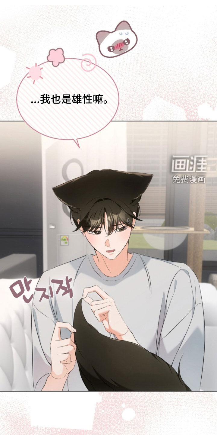 我的黑猫少年第28话图