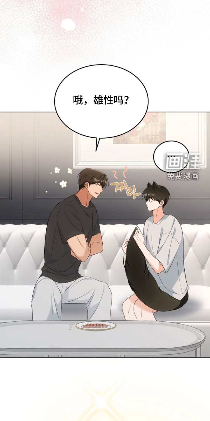 我的黑猫少年第28话图