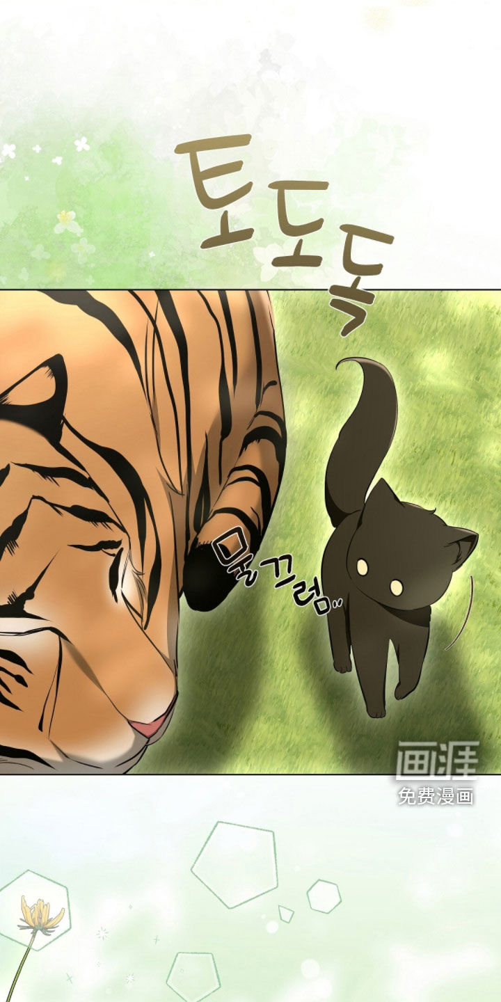 我的黑猫少年第30话图