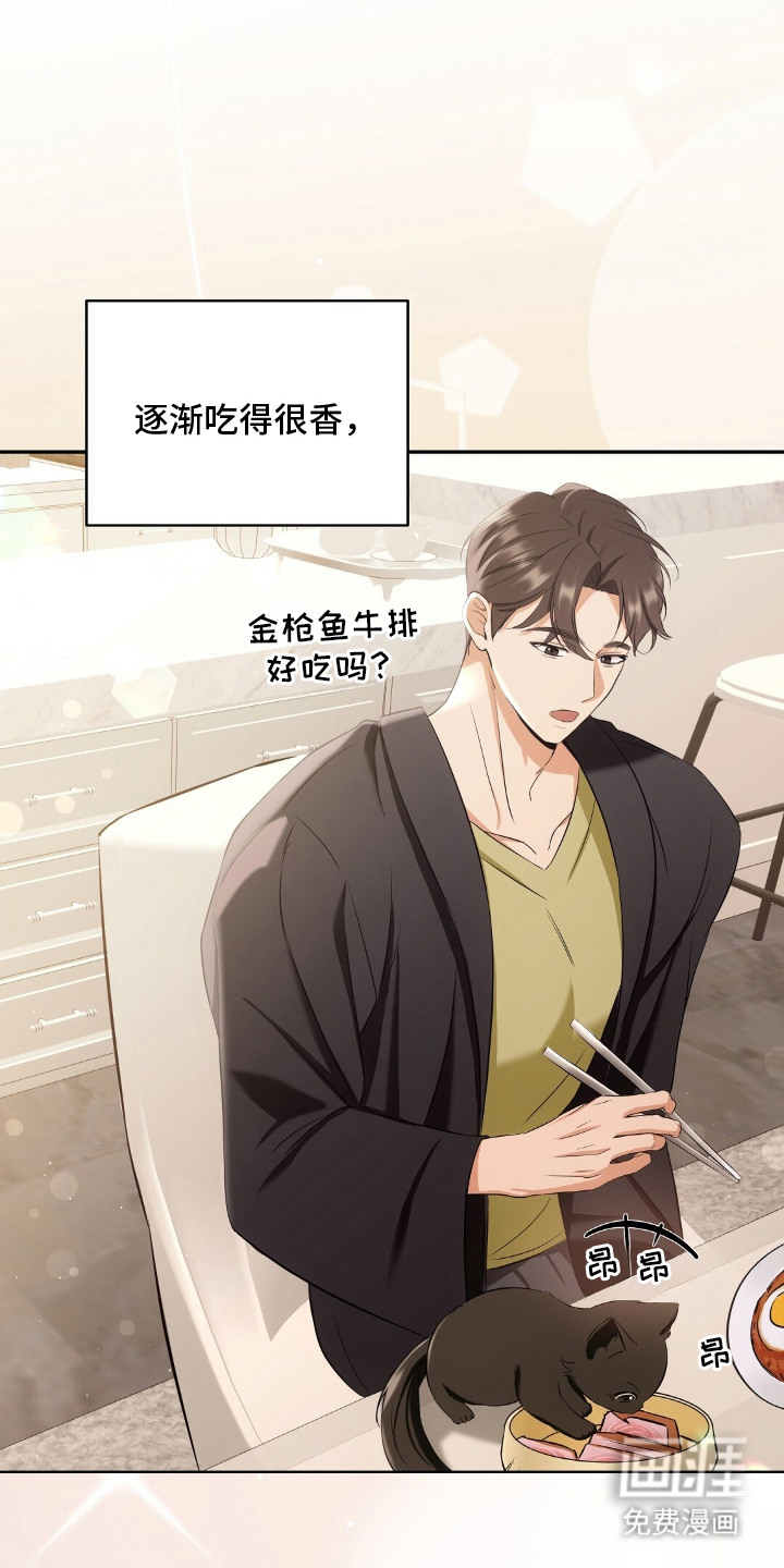 我的黑猫少年第5话图