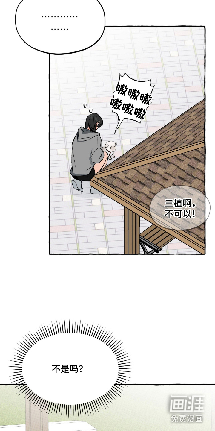 我的同事是冰山漫画-图2