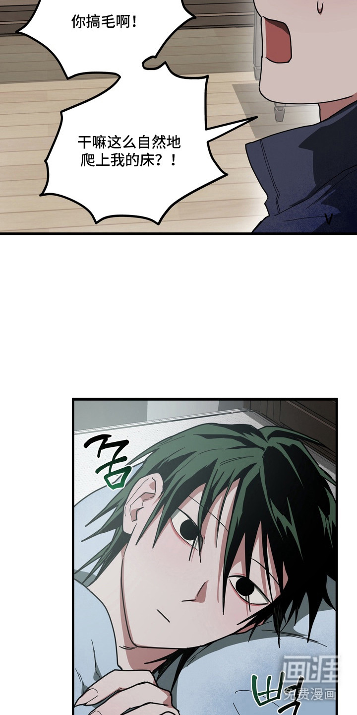 伪人室友漫画-图3