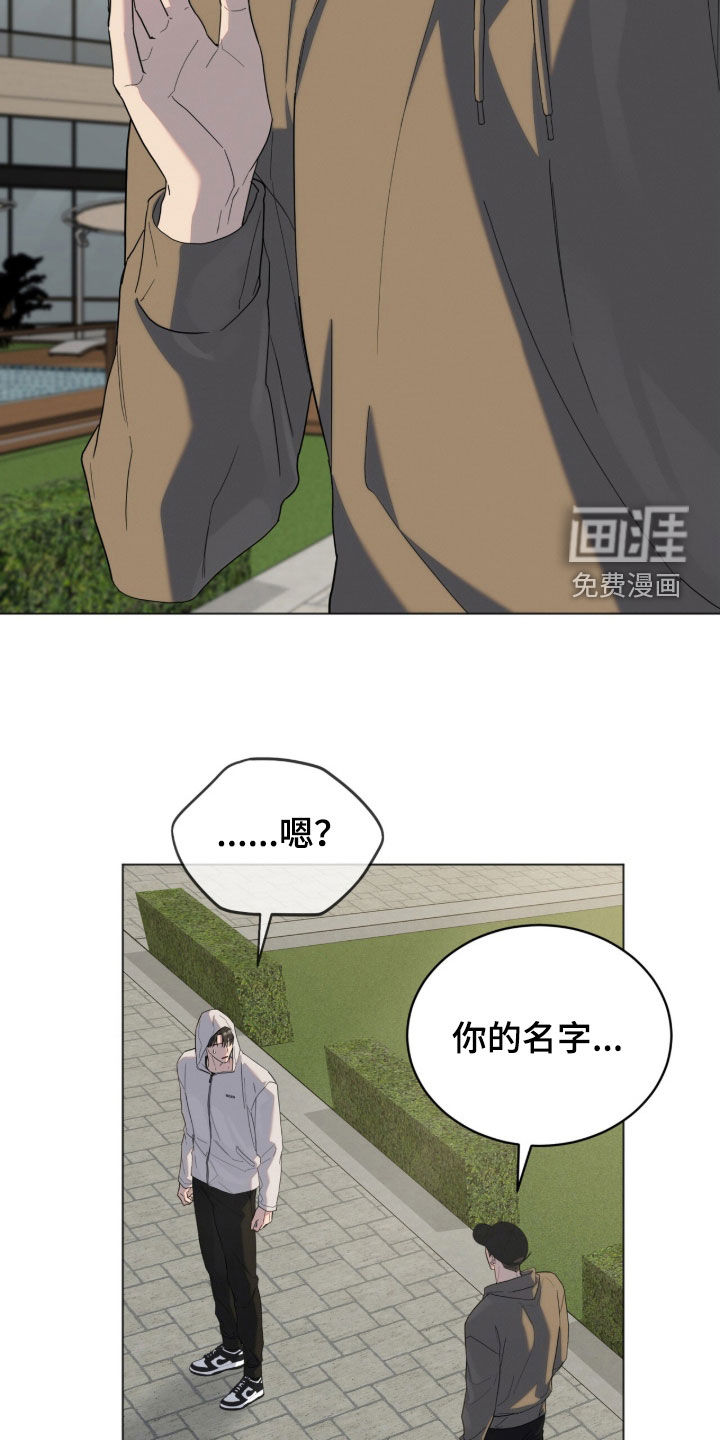 无色的恋人漫画-图24