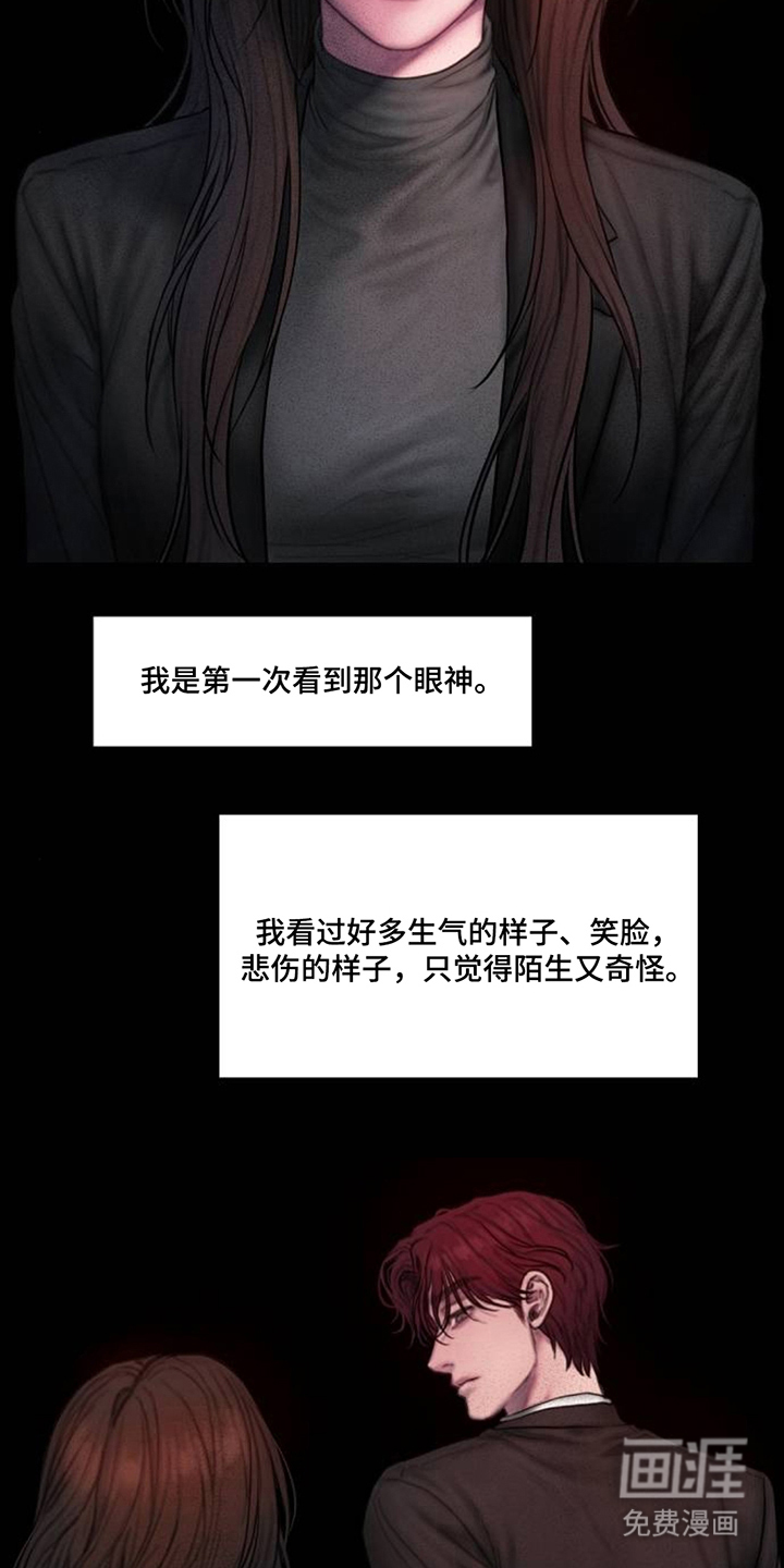 无声风暴漫画-图13