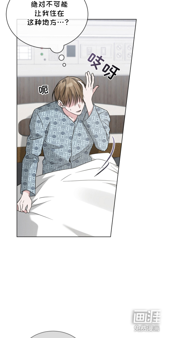 无香的花漫画-图12