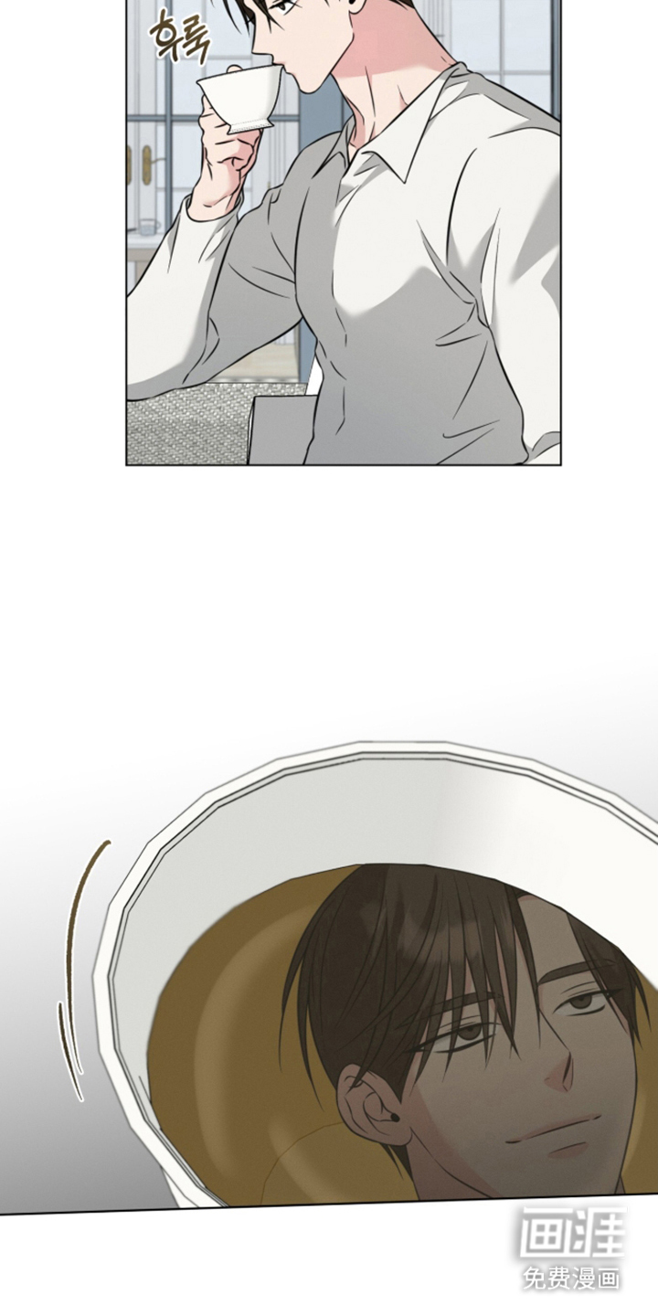 无香的花漫画-图17