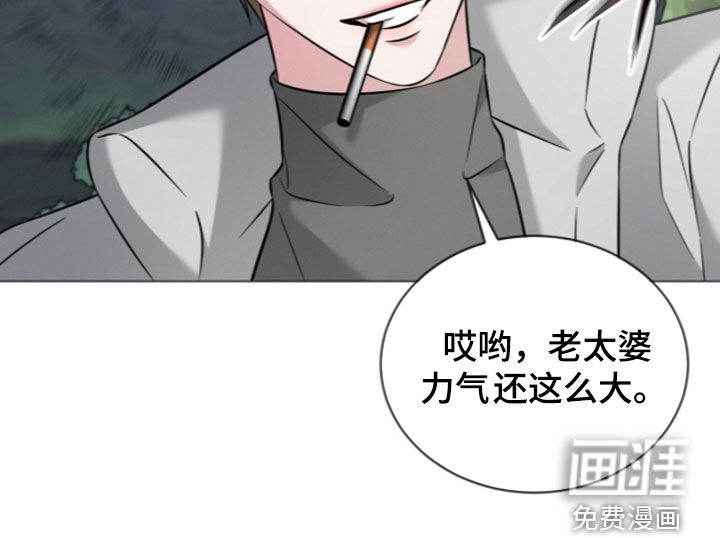 无香的花漫画-图17