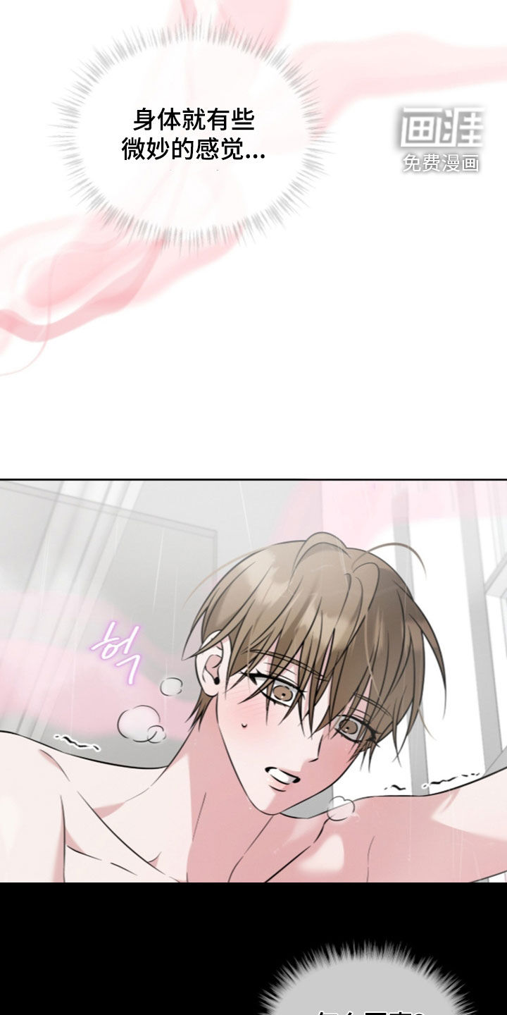 无香的花漫画-图3
