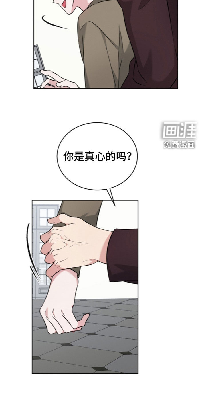 无香的花漫画-图28