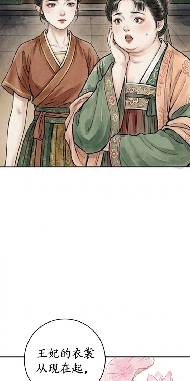 我的王妃是郎君漫画-图22