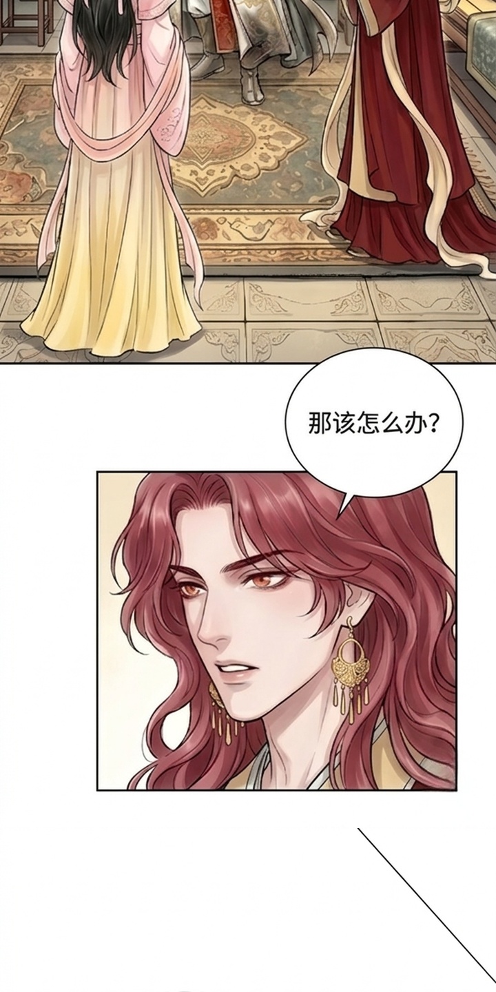 我的王妃是郎君漫画-图2