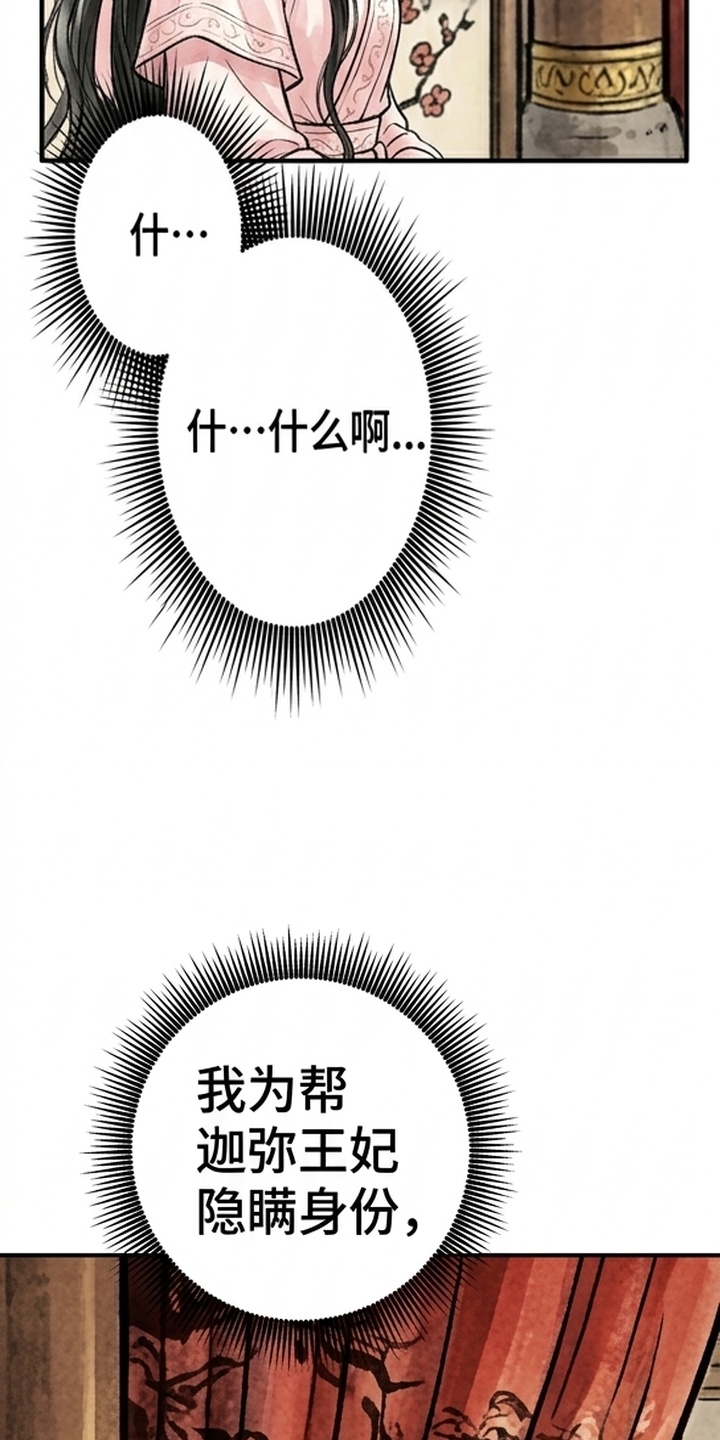 我的王妃是郎君漫画-图13