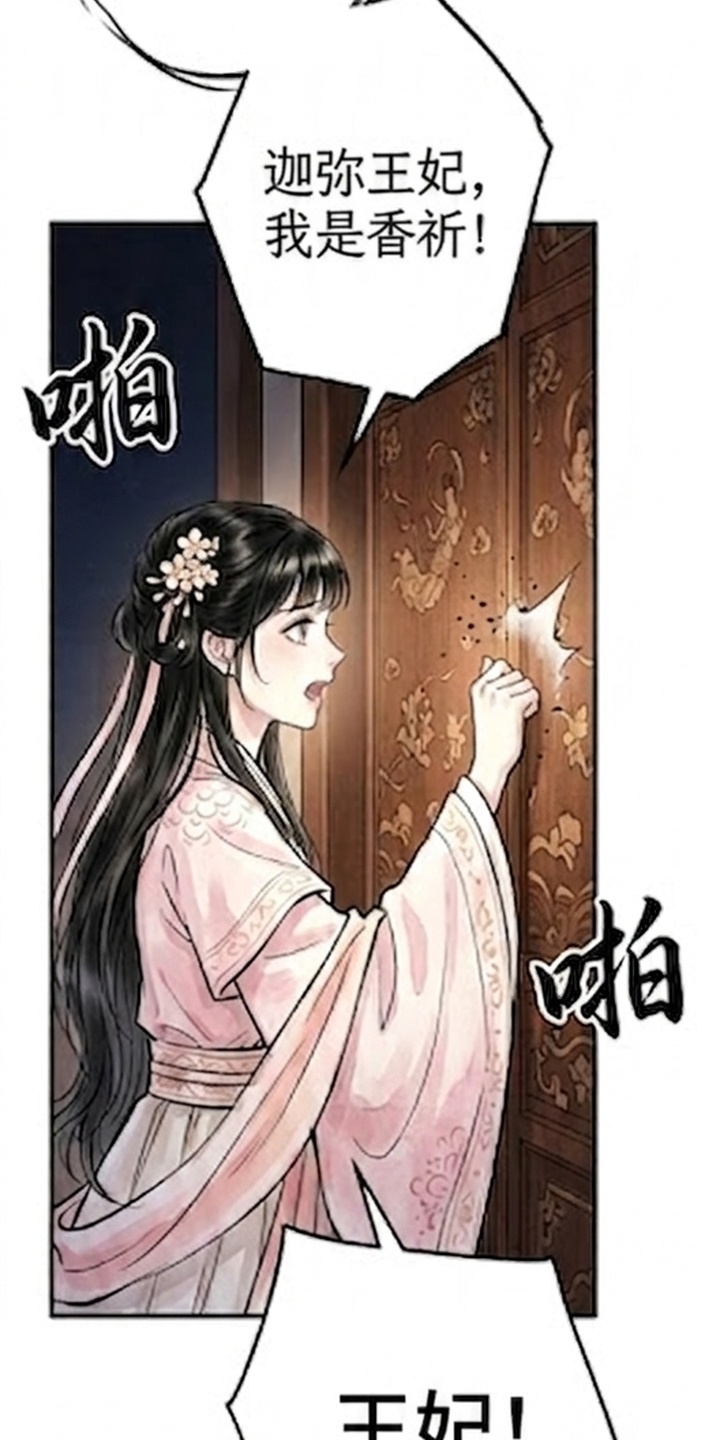 我的王妃是郎君漫画-图51